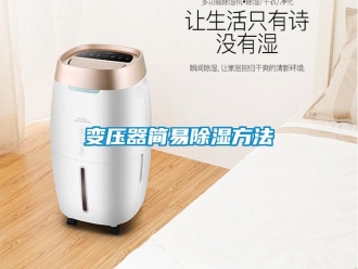 企業新聞變壓器簡易除濕方法