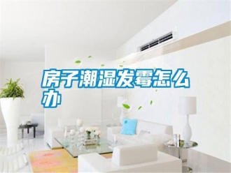 常見問題房子潮濕發霉怎么辦