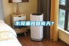 東莞重現回南天？