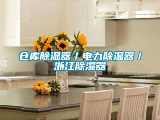 企業新聞倉庫除濕器／電力除濕器／浙江除濕器
