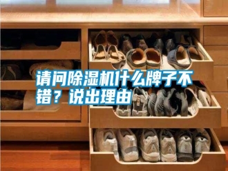 知識百科請問除濕機什么牌子不錯？說出理由