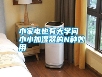 知識百科小家電也有大學問 小小加濕器的N種妙用