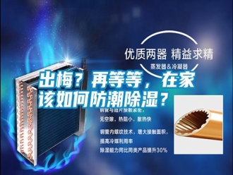 知識百科出梅？再等等，在家該如何防潮除濕？