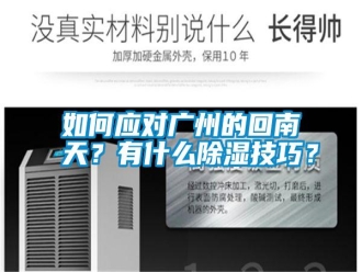常見問題如何應(yīng)對廣州的回南天？有什么除濕技巧？