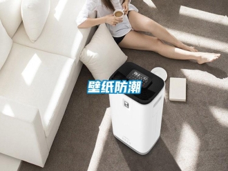 知識百科壁紙防潮