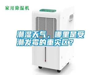 知識百科潮濕天氣，哪里是受潮發(fā)霉的重災(zāi)區(qū)？