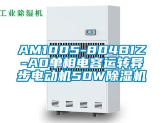 企業新聞AM1005-804BIZ-A0單相電容運轉異步電動機50W除濕機