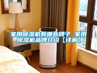 企業新聞家用除濕機有哪些牌子 家用除濕機品牌介紹【詳解】