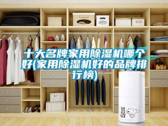企業新聞十大名牌家用除濕機哪個好(家用除濕機好的品牌排行榜)