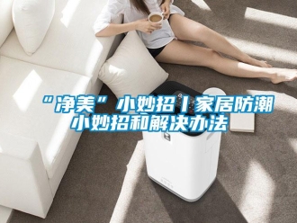 企業新聞“凈美”小妙招丨家居防潮小妙招和解決辦法