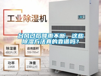 企業新聞臺風過后降雨不斷，這些除濕方法真的靠譜嗎？