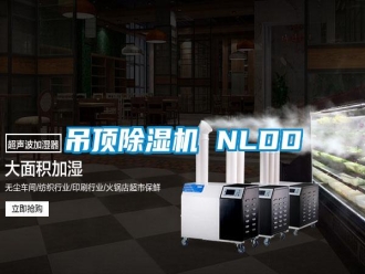 行業(yè)新聞吊頂除濕機 NLDD