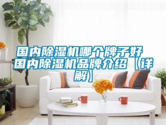 企業新聞國內除濕機哪個牌子好 國內除濕機品牌介紹【詳解】