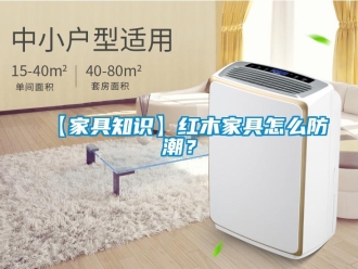 企業新聞【家具知識】紅木家具怎么防潮？