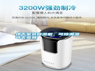 行業新聞地下室裝除濕機，可除潮濕可去霉臭