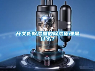 行業(yè)新聞開關(guān)柜除濕器的除濕原理是什么？