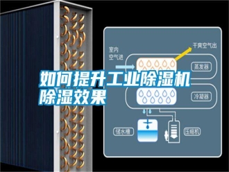 常見問題如何提升工業(yè)除濕機除濕效果