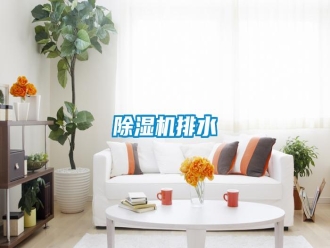 行業(yè)新聞除濕機(jī)排水