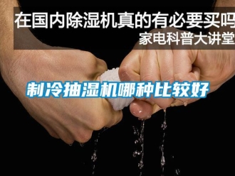 企業新聞制冷抽濕機哪種比較好