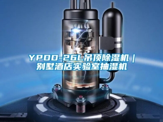 企業新聞YPDD-26L吊頂除濕機｜別墅酒店實驗室抽濕機