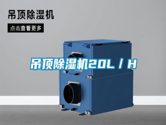 行業(yè)新聞吊頂除濕機20L／H