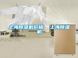 企業(yè)新聞上海除濕機價格  上海除濕機