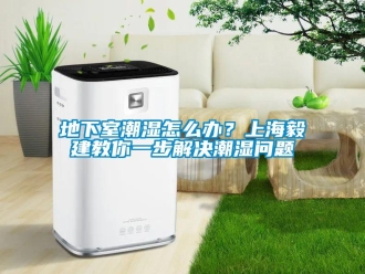 企業新聞地下室潮濕怎么辦？上海毅建教你一步解決潮濕問題