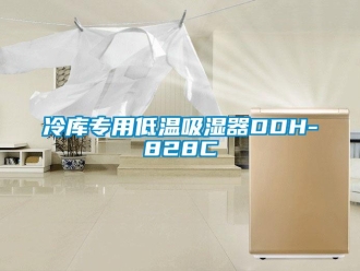 企業新聞冷庫專用低溫吸濕器DDH-828C