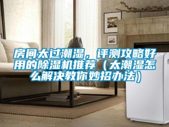行業(yè)新聞房間太過潮濕，評測攻略好用的除濕機推薦（太潮濕怎么解決教你妙招辦法）