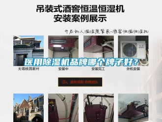企業(yè)新聞醫(yī)用除濕機品牌哪個牌子好？