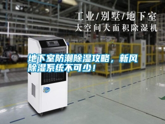 行業新聞地下室防潮除濕攻略，新風除濕系統不可少！