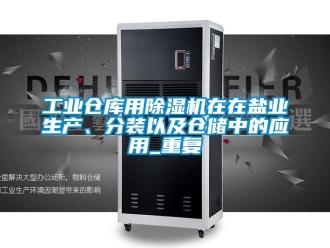 常見問題工業(yè)倉庫用除濕機(jī)在在鹽業(yè)生產(chǎn)、分裝以及倉儲中的應(yīng)用_重復(fù)