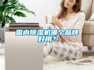 企業新聞國內除濕機哪個品牌好用？