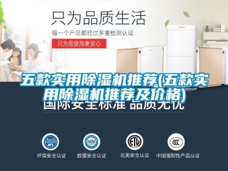 企業新聞五款實用除濕機推薦(五款實用除濕機推薦及價格)