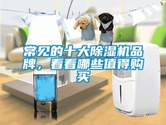 企業(yè)新聞常見的十大除濕機(jī)品牌，看看哪些值得購買