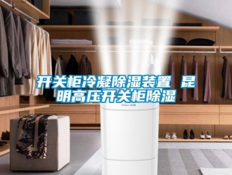 行業新聞開關柜冷凝除濕裝置 昆明高壓開關柜除濕