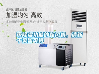 常見問題帶除濕功能的新風(fēng)機(jī)，清新干爽皆可得