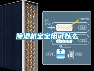 行業新聞除濕機寶寶用可以么