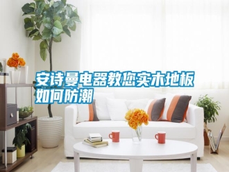 常見問題安詩曼電器教您實木地板如何防潮