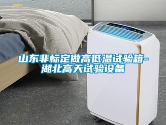常見問題山東非標(biāo)定做高低溫試驗(yàn)箱-湖北高天試驗(yàn)設(shè)備