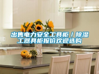 企業新聞出售電力安全工具柜／除濕工器具柜報價歡迎選購