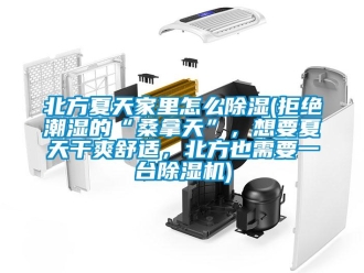 企業(yè)新聞北方夏天家里怎么除濕(拒絕潮濕的“桑拿天”，想要夏天干爽舒適，北方也需要一臺除濕機)