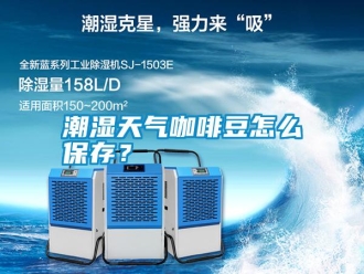 知識百科潮濕天氣咖啡豆怎么保存？