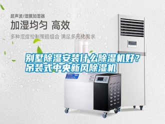 行業新聞別墅除濕安裝什么除濕機好？吊裝式中央新風除濕機