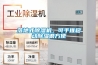 落地式除濕機，可手推移動除濕很方便