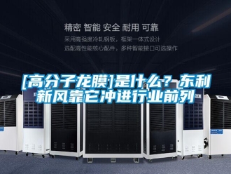 企業新聞[高分子龍膜]是什么？東利新風靠它沖進行業前列