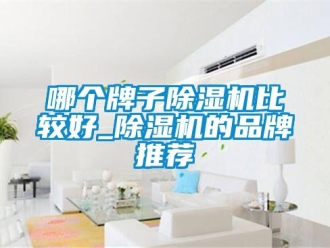 企業新聞哪個牌子除濕機比較好_除濕機的品牌推薦