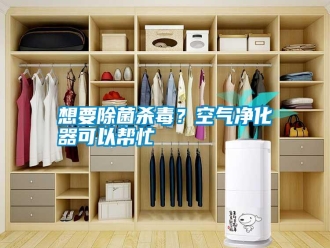 知識百科想要除菌殺毒？空氣凈化器可以幫忙