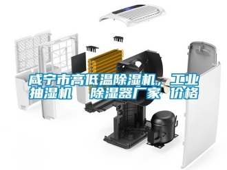 企業新聞咸寧市高低溫除濕機，工業抽濕機  除濕器廠家 價格