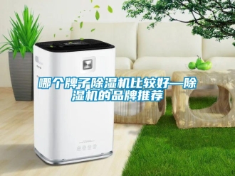 企業新聞哪個牌子除濕機比較好—除濕機的品牌推薦